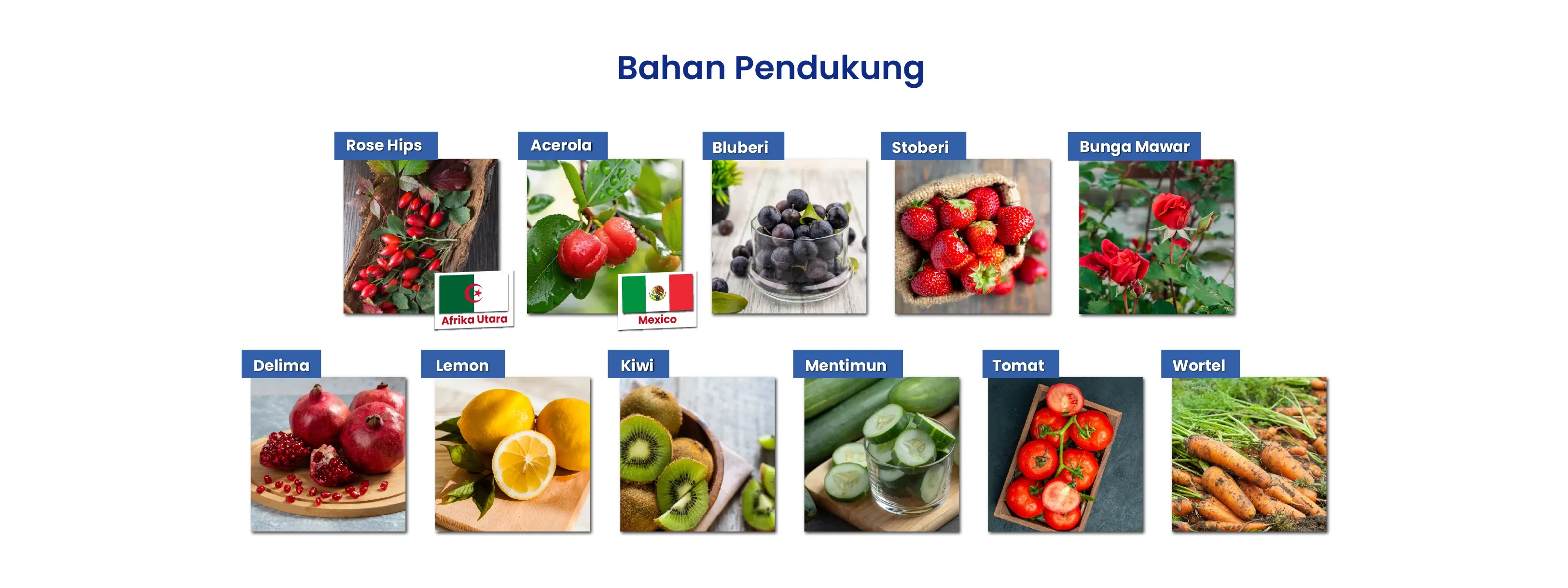 Bahan Pendukung AGiBOOST